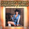 Varios Coleccion De Oro, Vol. 1 - Orgullosa Y Bonita