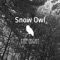 The Night - Snow Owl lyrics