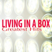 Living in a Box (Extended Mix) artwork
