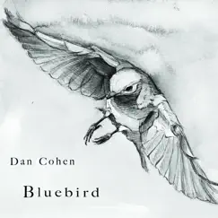 Bluebird by Dan Cohen album reviews, ratings, credits
