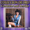 Varios Coleccion De Oro, Vol. 3 - Corazon Mal Herido, 2009