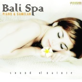 Bali Spa (Piano & Gamelan) artwork