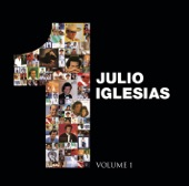 Julio Iglesias - Eu Nunca Te Esquecí (Always On My Mind) (Album Version)