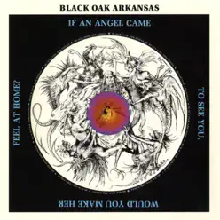 If an Angel Came to See You...Would You Make Her Feel at Home - Black Oak Arkansas