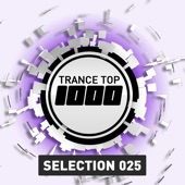 Trance Top 1000 Selection, Vol. 25 (Extended Versions) artwork