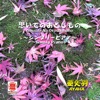 Ayaha - Tsuki No Wa