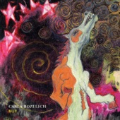 Carla Bozulich - Drowned To the Light
