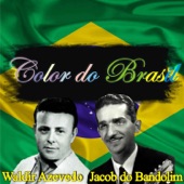 Color do Brasil artwork