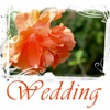 Wedding: Wedding Music, Instrumental Music, Piano Music, Instrumental Piano, Background Wedding Music, Easy Listening Music