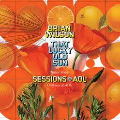 AOL Sessions - EP - Brian Wilson