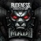 Headz (feat. The Stunned Guys) - DJ Mad Dog lyrics