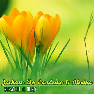 Scratch de Ouro - Single - Jackson do Pandeiro