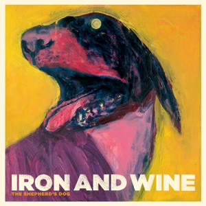 Iron & Wine - Flightless Bird, American Mouth - Line Dance Music
