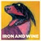 Flightless Bird, American Mouth - Iron & Wine lyrics