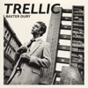 Baxter Dury - Trellic
