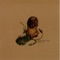 Almost There - Pedro the Lion lyrics