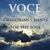 Gregorian Chants for the Soul, 2013
