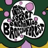 Secret Enchanted Broccoli Forest - Single