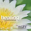 Healing: A Vibrational Exchange album lyrics, reviews, download