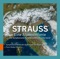 Eine Alpensinfonie, Op. 64, TrV 233: Gewitter und Sturm, Abstieg artwork