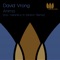 Anima - David Vrong lyrics