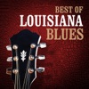 Best of Louisiana Blues, 2013