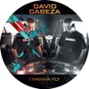 I Wanna Fly - Single