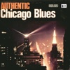 Authentic Chicago Blues, 2013