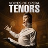 Voices of Opera: Tenors