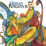 Urban Knights - Hi-Heel Sneakers