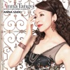 Anna Saeki - No Quiero Otro