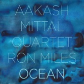 Aakash Mittal Quartet w/ Ron Miles - Monsoon Blues