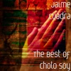 The Best of Cholo Soy artwork