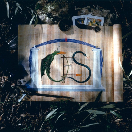 Cover artwork for Playing with the Fire