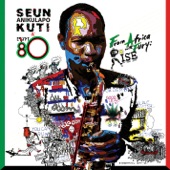 Seun Kuti & Egypt 80’ - The Good Leaf