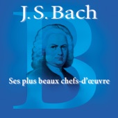 Jonathan Rees/Jane Murdoch/Scottish Ensemble - Double Violin Concerto in D minor BWV1043: III. Allegro
