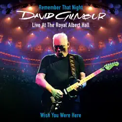 Wish You Were Here (Live At the Royal Albert Hall) - Single - David Gilmour