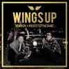 Wings Up album lyrics, reviews, download