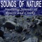 Geyser with Hissing Steam Vent - Pro Sound Effects Library lyrics