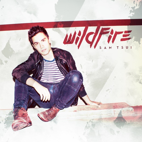 Cover artwork for Wildfire