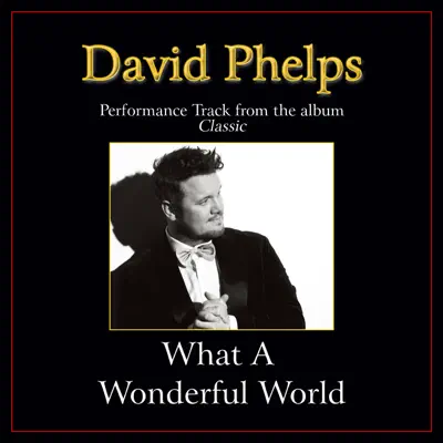 What a Wonderful World (Performance Tracks) - EP - David Phelps