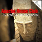 The Last of the Mohicans (Leoni & Soriani Club Remix) artwork