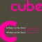 Riders On the Storm (Deep FM Remix) - Cube lyrics