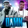 Damn (feat. Ray J) - Single album lyrics, reviews, download