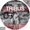 Tribus (Albert Aponte Optimus Remix) - Squicciarini & Yamil lyrics