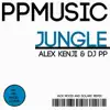 Stream & download Jungle Remixes 01. - Single