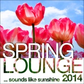 Spring Lounge 2014 (Sounds Like Sunshine) artwork