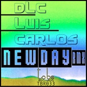 New Day (Groovefella Remix) artwork