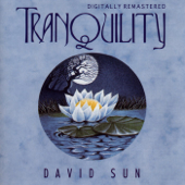 Tranquility (Remastered) - David Sun