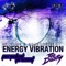 Energy Vibration (Perpetual Present Remix) - Hedflux & Neurodriver lyrics